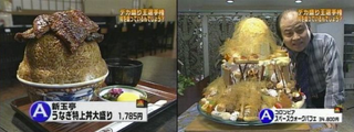 Illustration for article titled Huge Japanese Food Portion Sizes